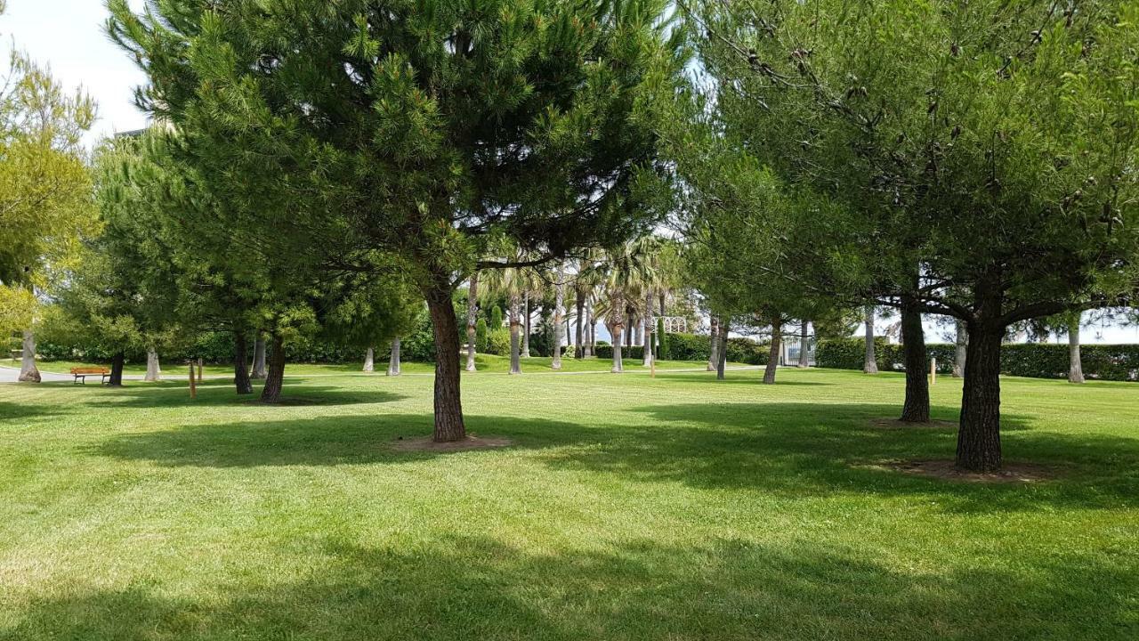 Appartamento T2 Rez De Jardin Front De Cannes